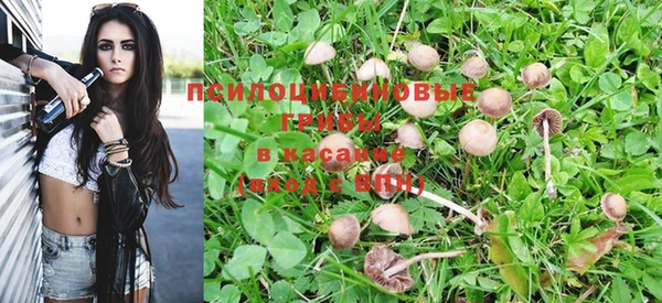 дмт Абдулино