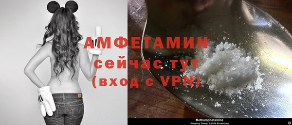 индика Михайловка
