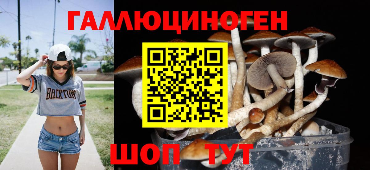 Псилоцибиновые грибы MAGIC MUSHROOMS  Псилоцибиновые грибы Magic Shrooms  Уфа  Вход с VPN 