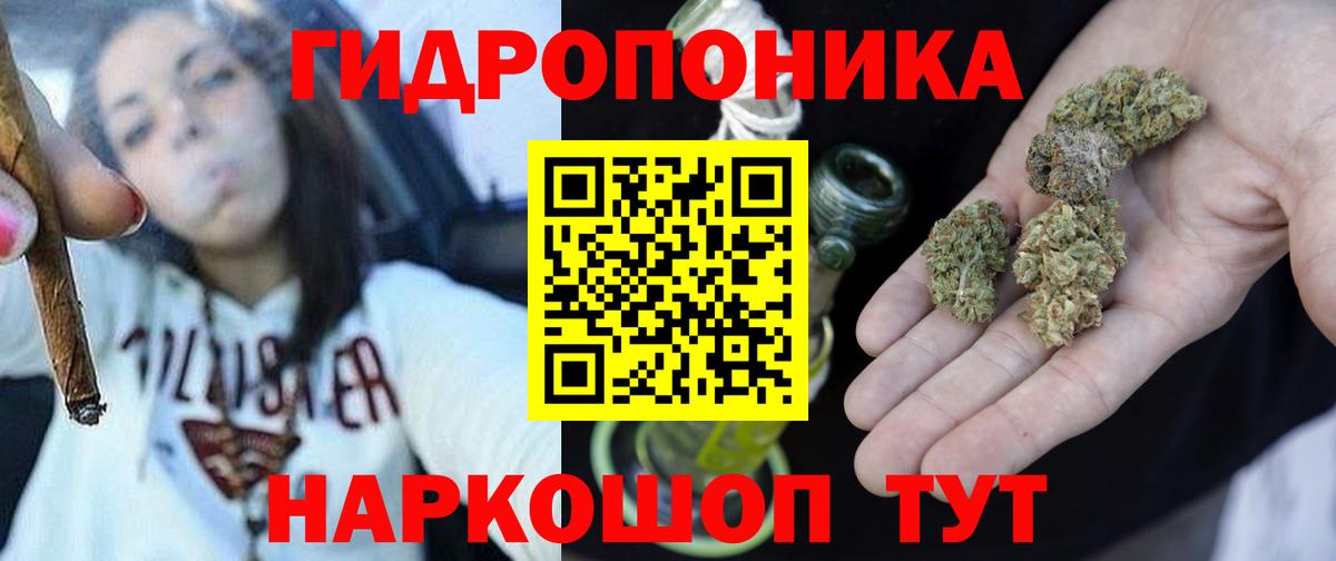 Марихуана сатива  Вход с VPN  Бошки марихуана индика  Марихуана MAZAR  МАРИХУАНА планчик  Уфа 